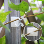 Plant Vine Support Clips