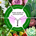 USB Full Spectrum Grow Lamp