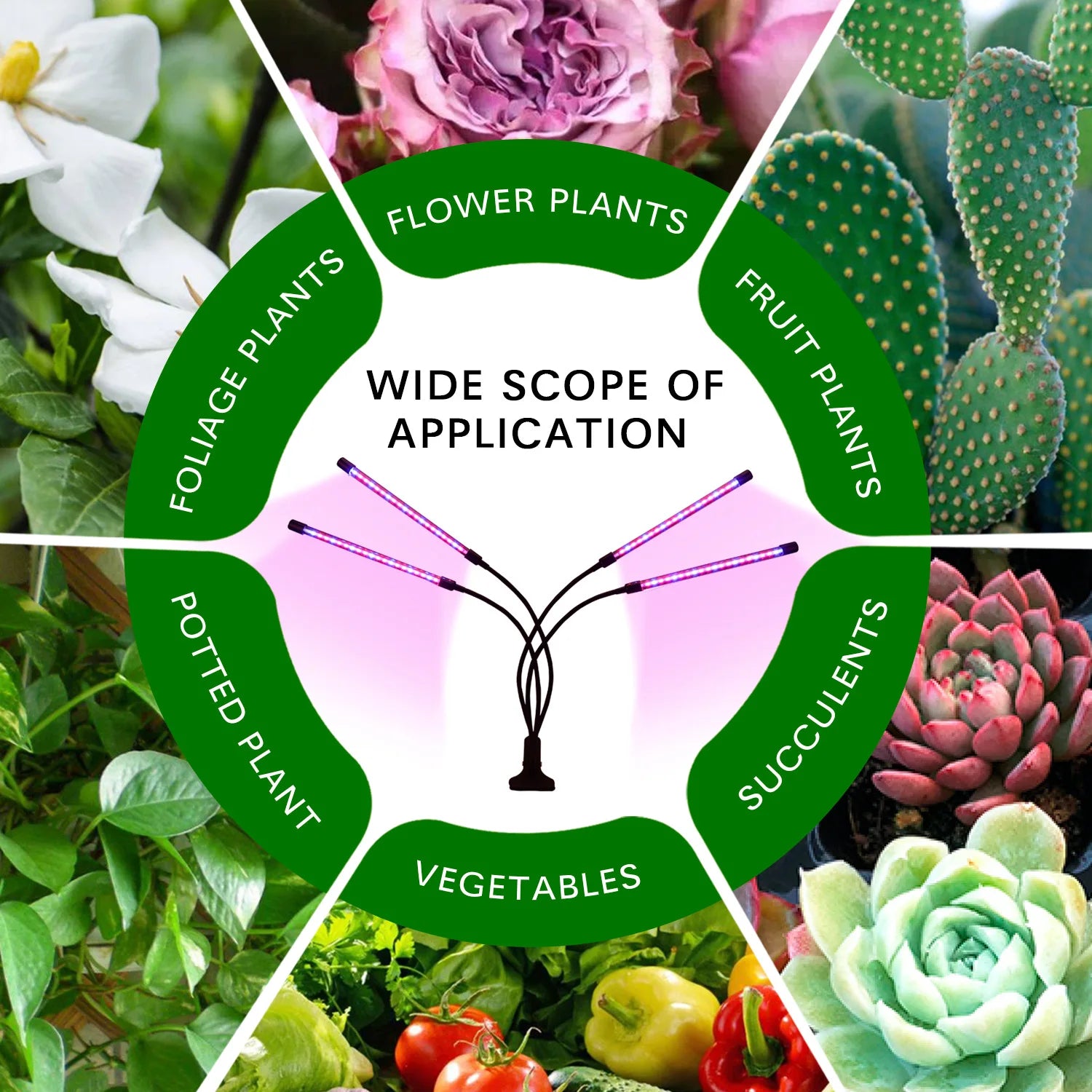 USB Full Spectrum Grow Lamp