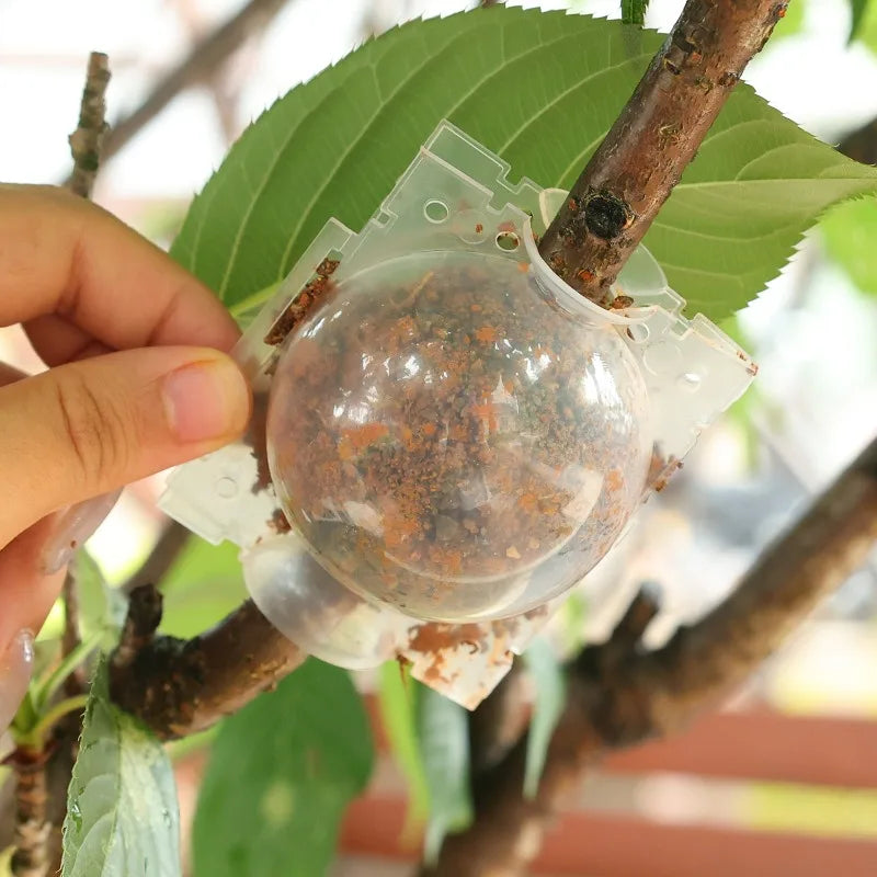 Plant Rooting Grow Balls