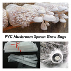Mushroom Spawn Grow Kit