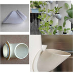 Hydroponic Drill Seedling Kit