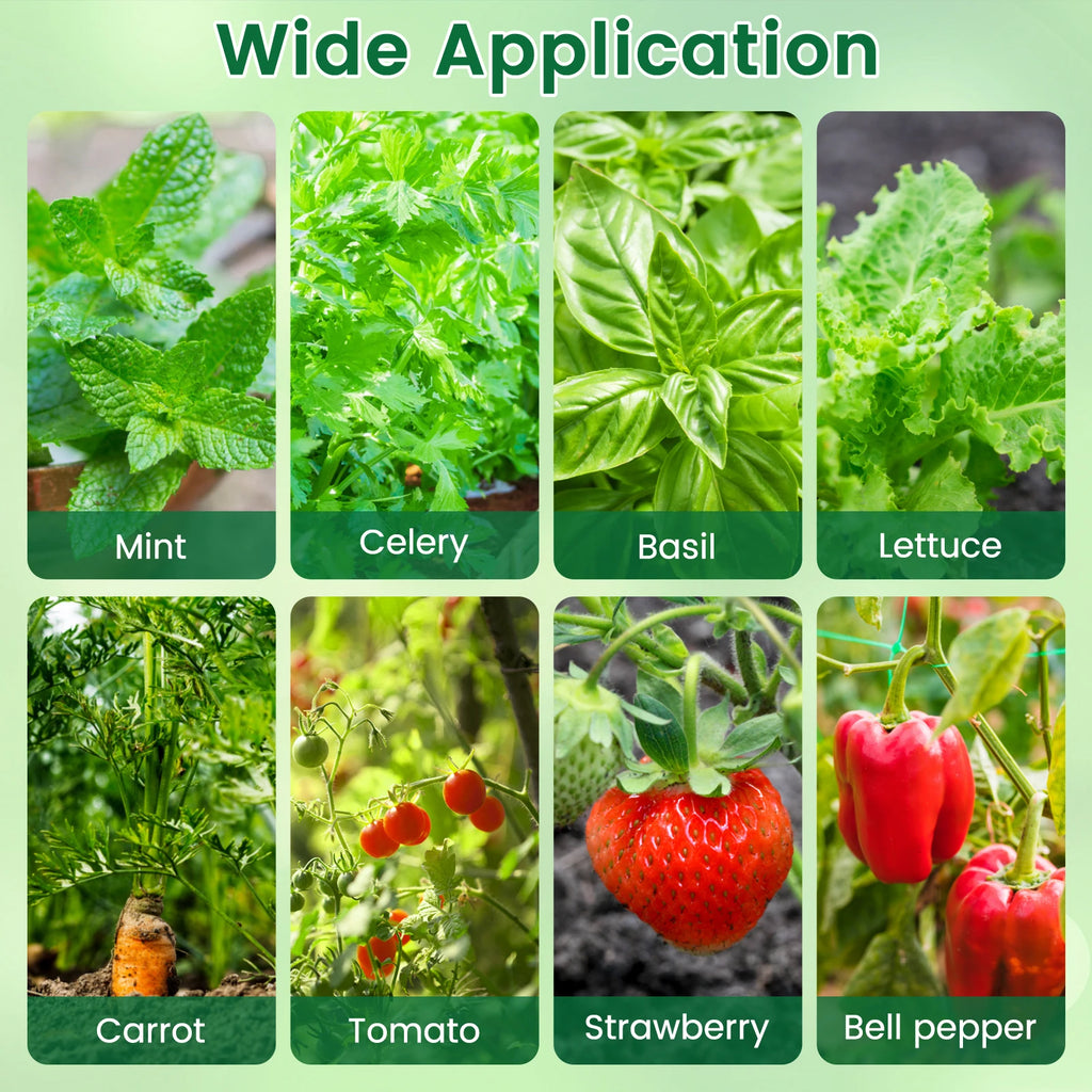 Hydroponic Seed Starter Kit