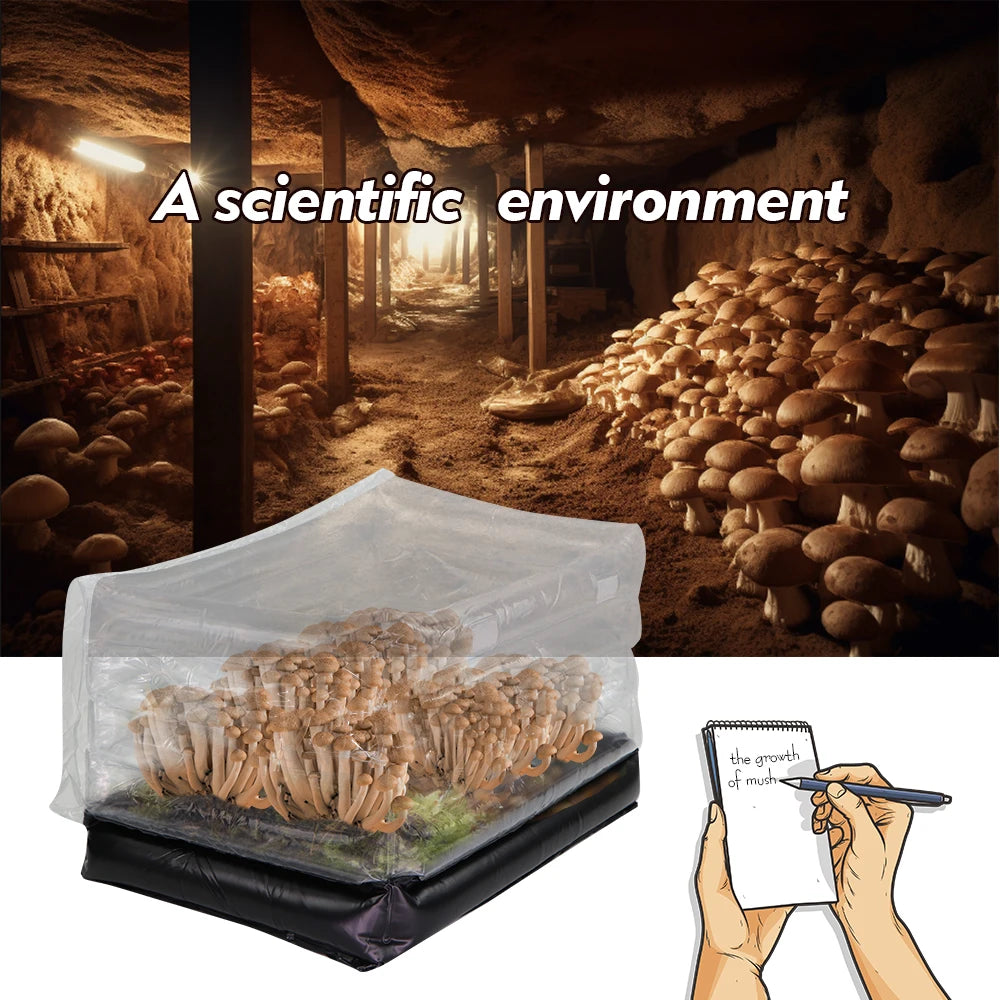 Inflatable Mushroom Monotub Kit