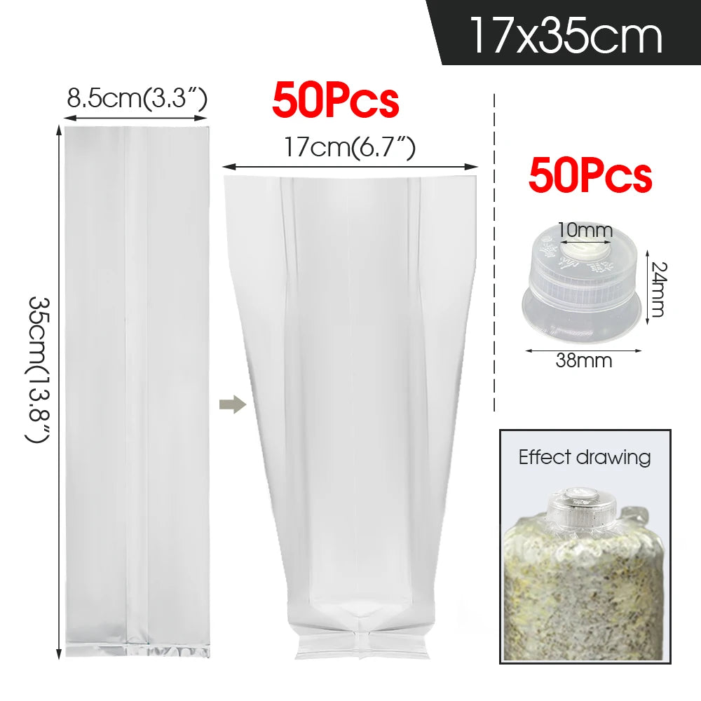 Mushroom Spawn Grow Kit