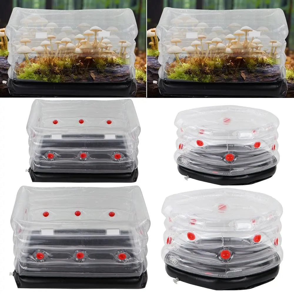 Inflatable Mushroom Monotub Kit