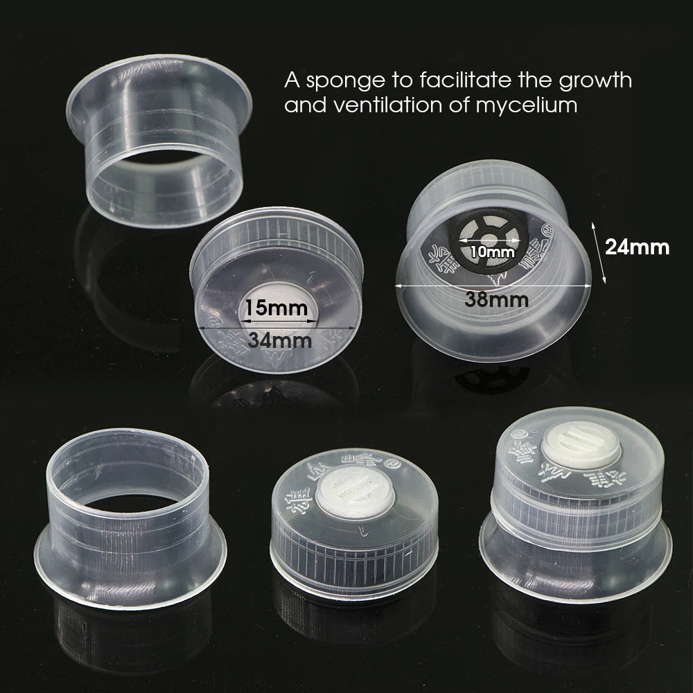 Mushroom Spawn Grow Kit