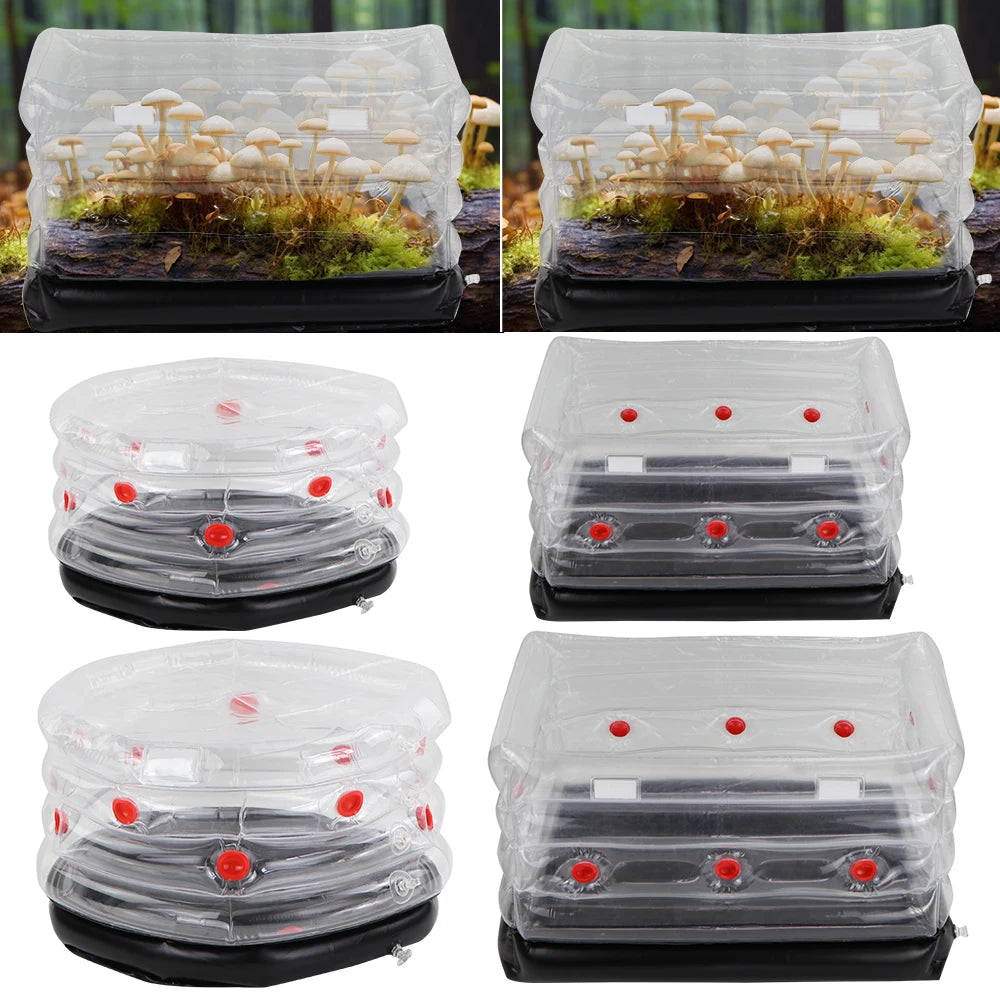 Inflatable Mushroom Monotub Kit