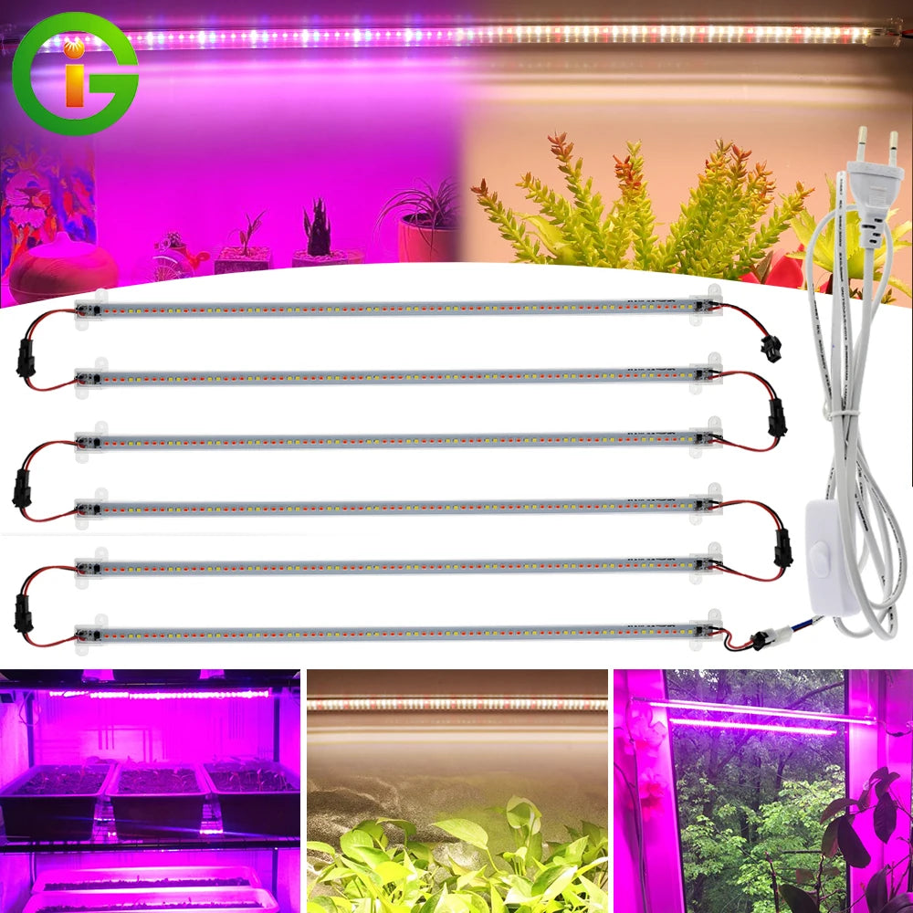 Hydroponic LED Grow Light
