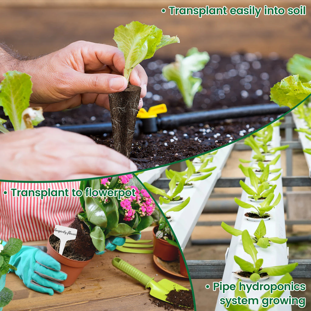 Hydroponic Seed Starter Kit