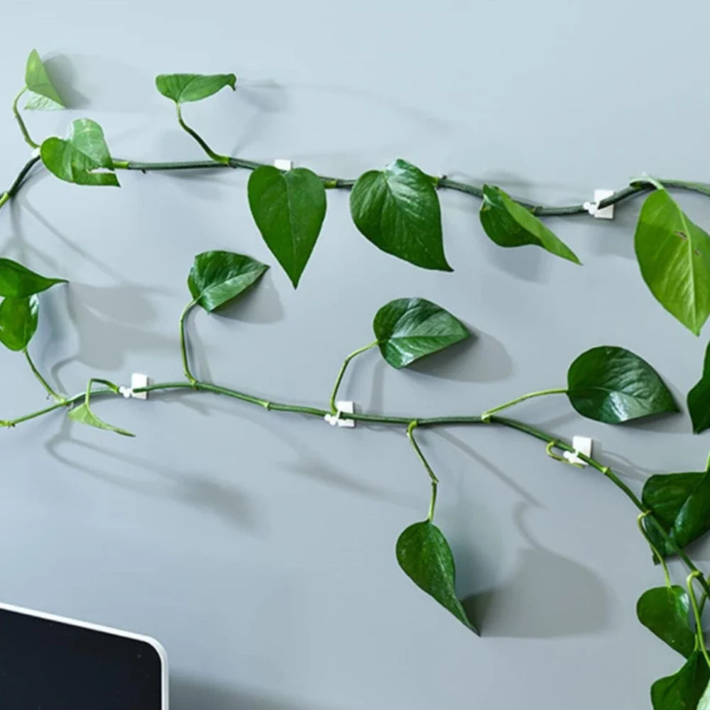 Plant Vine Support Clips