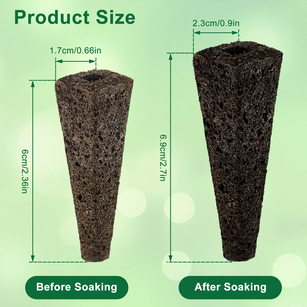 Hydroponic Seed Starter Kit