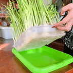 Microgreens Sprouting Tray Set