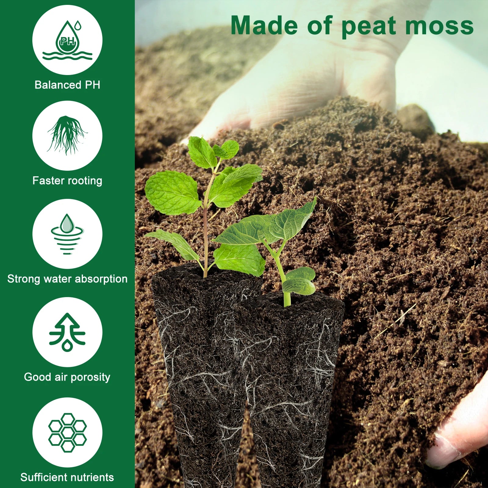 Hydroponic Seed Starter Kit